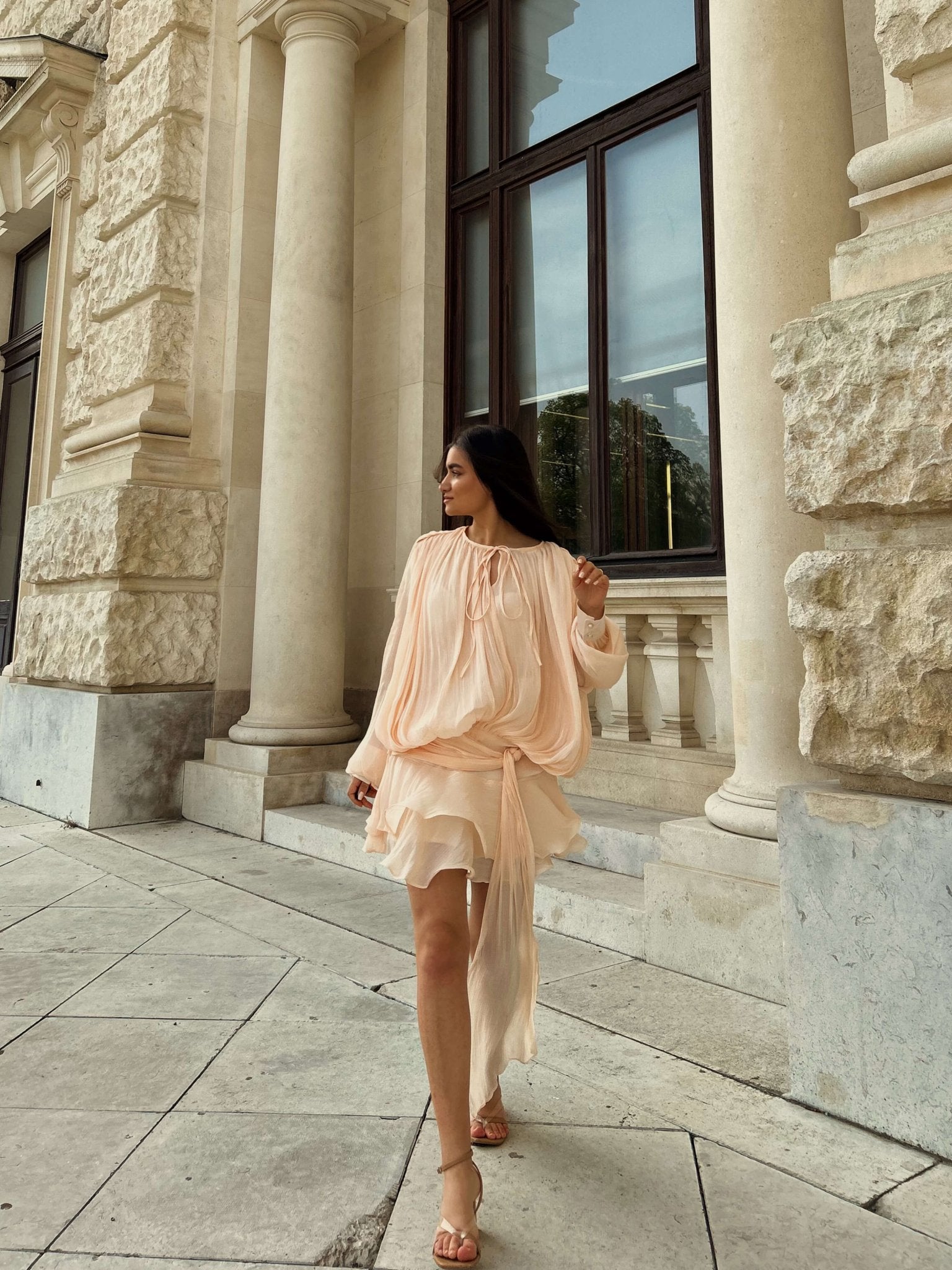 Fayn Mini Dress 4
